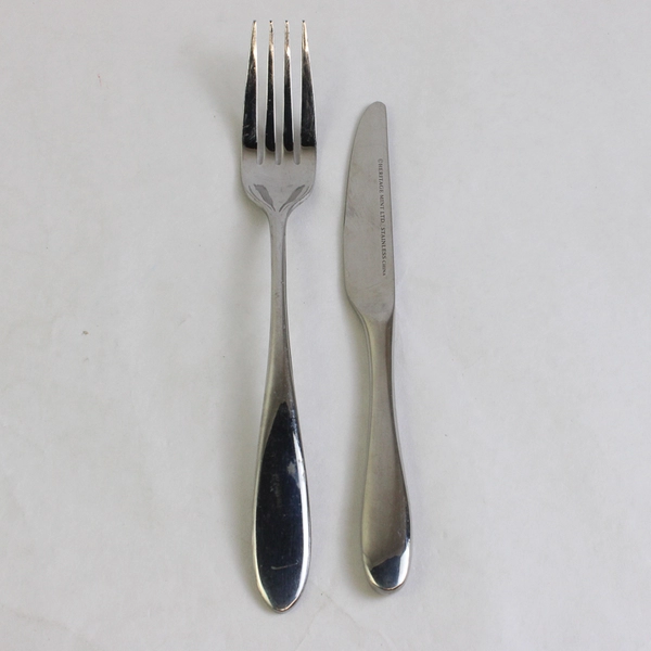 2 Pc Lot Heritage Mint LTD Reflections Stainless Flatware Salad Fork and Knife