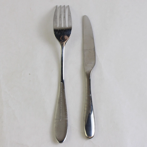 2 Pc Lot Heritage Mint LTD Reflections Stainless Flatware Salad Fork and Knife