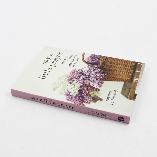 Say a Little Prayer by Joanne Redmond 101 Ways to Pray Throughout Day 2023 PB