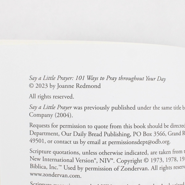 Say a Little Prayer by Joanne Redmond 101 Ways to Pray Throughout Day 2023 PB