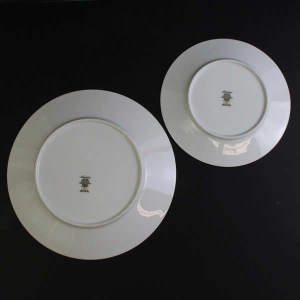 Noritake Reina Dinner Plate and Salad Plate White Floral Platinum Rim 6450Q