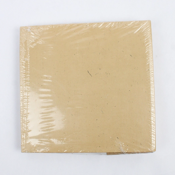 Vintage Rembrandt Photo Album New Sealed 2001 Book Bound Holds 60 Photos