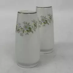 Johann Haviland Forever Spring Salt And Pepper Shakers Set