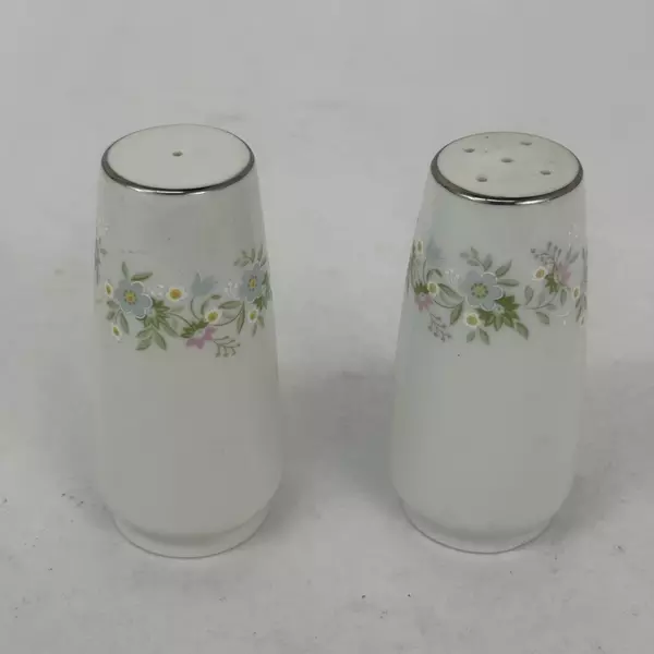 Johann Haviland Forever Spring Salt And Pepper Shakers Set