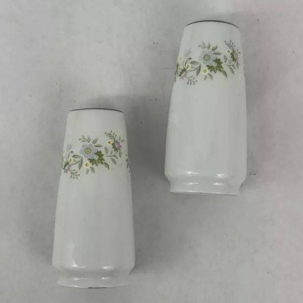 Johann Haviland Forever Spring Salt And Pepper Shakers Set