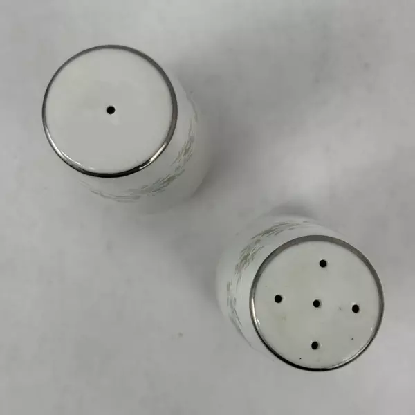 Johann Haviland Forever Spring Salt And Pepper Shakers Set
