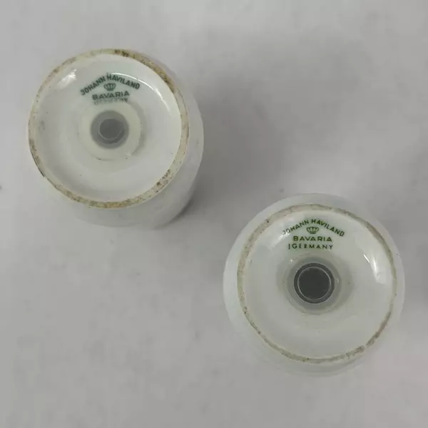 Johann Haviland Forever Spring Salt And Pepper Shakers Set