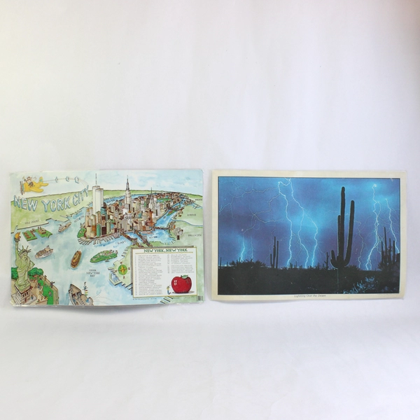 Lot of 4 Travel Photography Placemats New York Canada Arizona