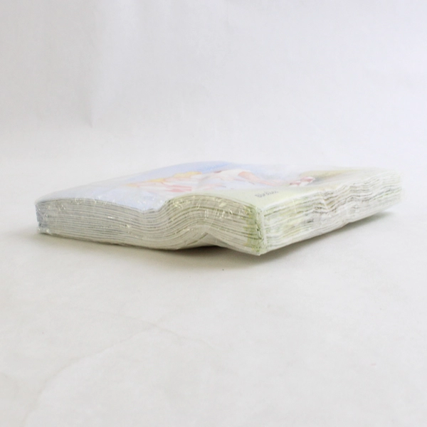 Creative Arts 20 Count Napkin Pack Birdies by Erika Oller