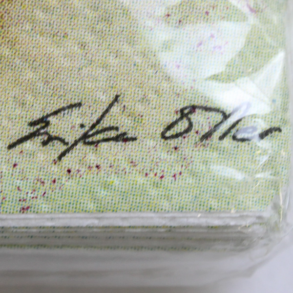 Creative Arts 20 Count Napkin Pack Birdies by Erika Oller