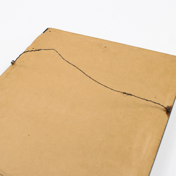 Vintage Chinese Pith Rice Paper Painting Robed Woman with Bird Flawed