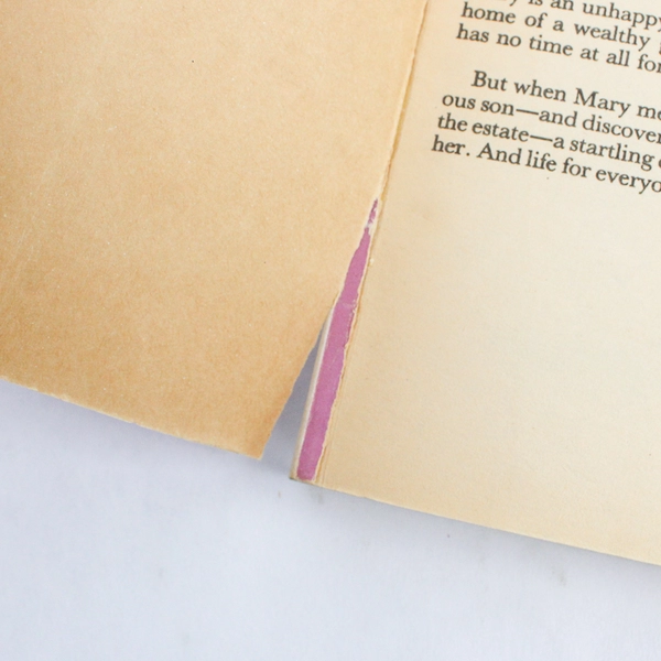 The Secret Garden by Frances Hodgson Burnett 1987 Vintage Paperback