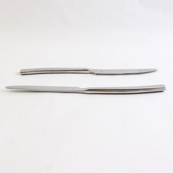 2 Piece Set Artisanware Soho 18/0 Stainless Steel Dinner Knives