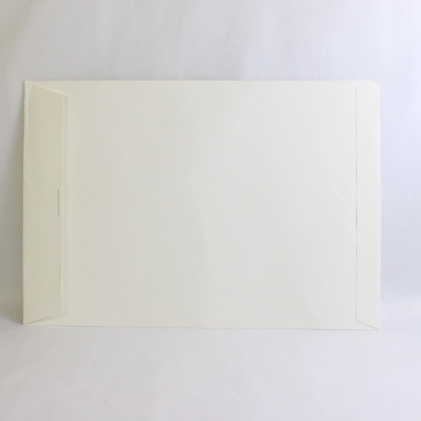Large Jumbo Cardstock Envelope 16.75 x 24.25 inch Handle With Care Unused