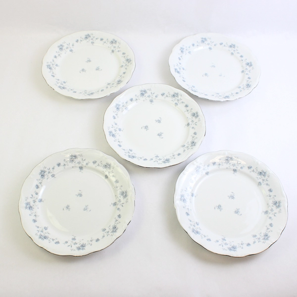Lot Of 5 Johann Haviland Blue Garland (Bavaria Backstamp) Dinner Plates