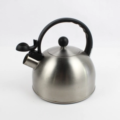 Copco Whistling Tea Kettle Teapot Stainless Steel Brushed