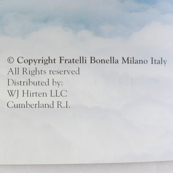 The Holy Rosary Illustrated Mysteries & Prayers Catholic Pocket Book