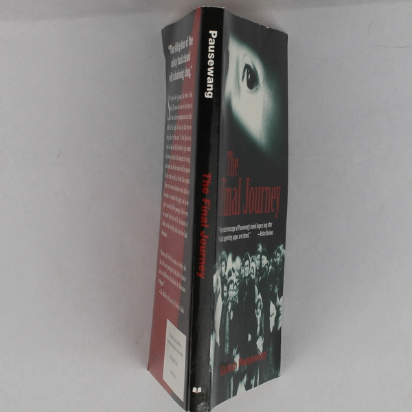 The Final Journey by Gudrun Pausewang Translated by Patricia Crampton 1999 PB