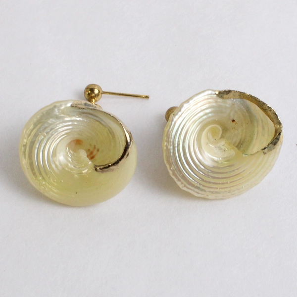 Gold-Tone Gilt Seashell Drop Earrings Need Backings