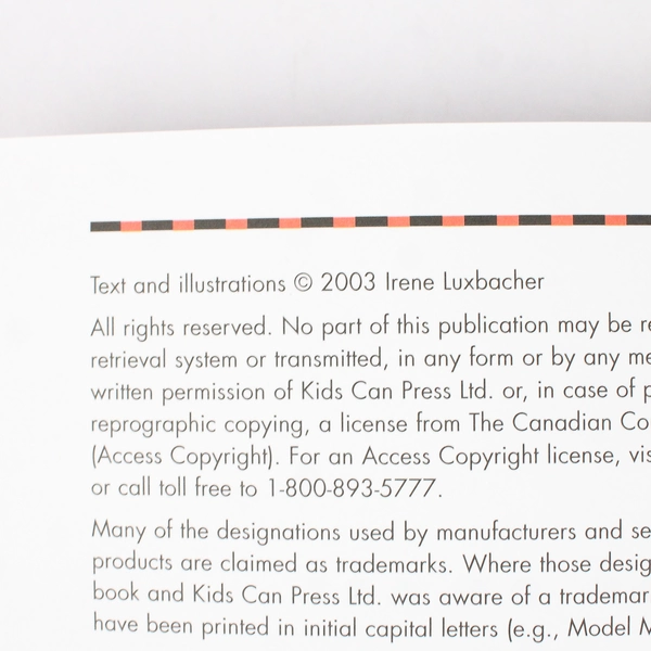 The Jumbo Book of Art Written & Illustrated by Irene Luxbacher 2003 PB For Kids