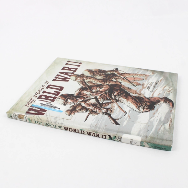 True Stories of World War II by Terry Collins 2013 Graphic Novel HC Ex-Library