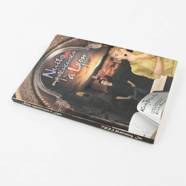 Nuits Mysterieuses Ã  Lyon by Kristy Placido 2011 French Novel Level One PB