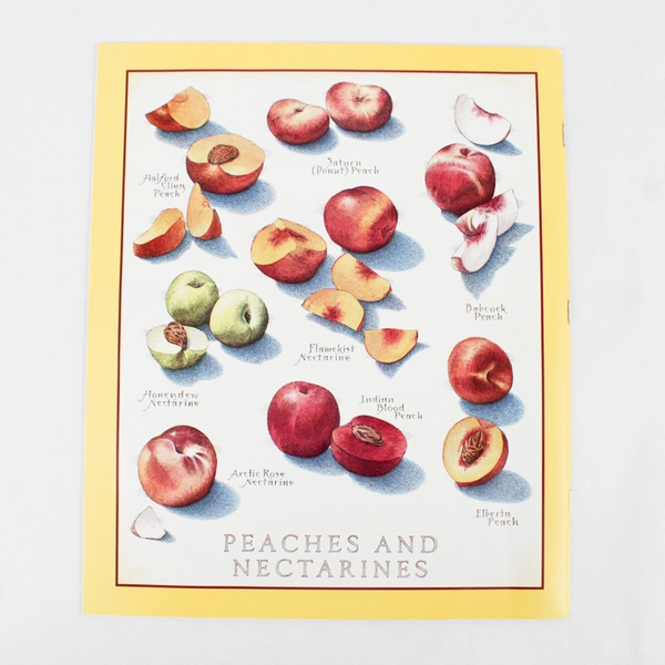 Cook's Illustrated July & August 2002 Magazine Home of America's Test Kitchen