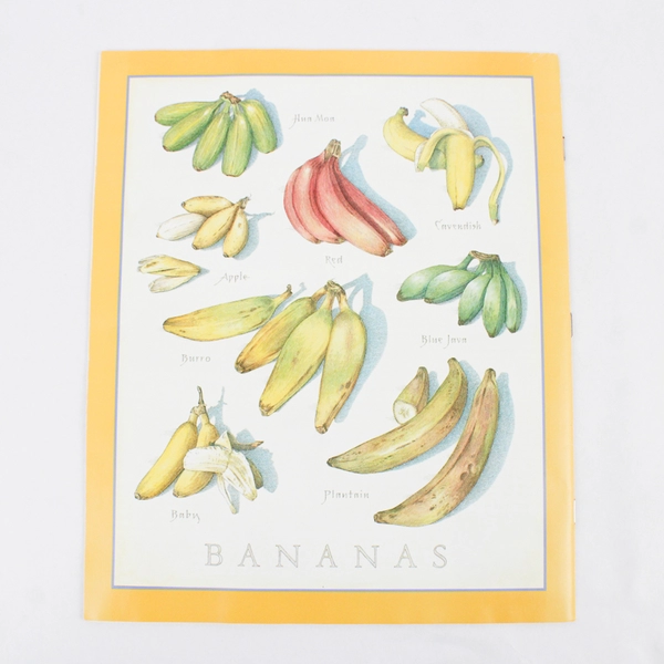 Cook's Illustrated March & April 2003 Magazine Issue #61