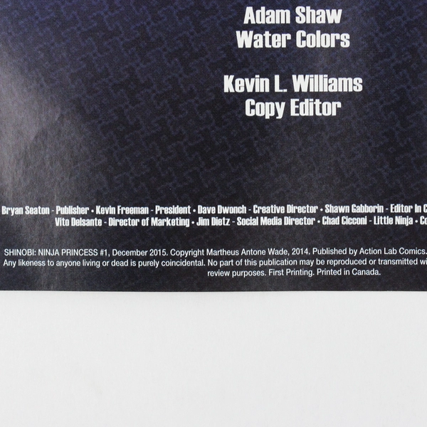 Shinobi Ninja Princess #1 by Martheus Wade & Janet Wade 2015 PB Graphic Novel