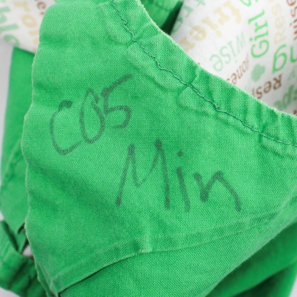 Lot Of 2 Handmade Girl Scout Throw Pillow 17" x 17" & Apron Green/Brown