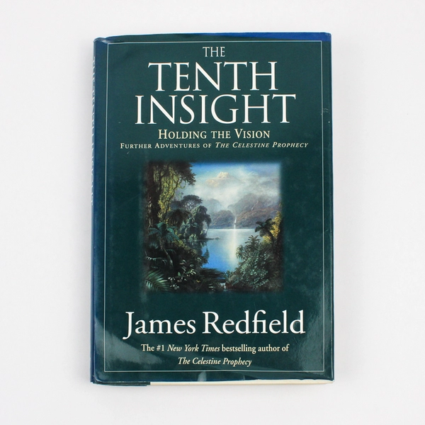 The Tenth Insight Holding the Vision James Redfield 1996 Hardcover Dust Jacket