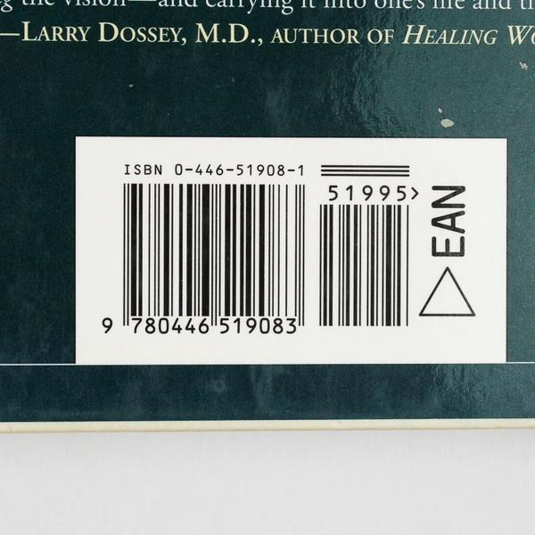 The Tenth Insight Holding the Vision James Redfield 1996 Hardcover Dust Jacket