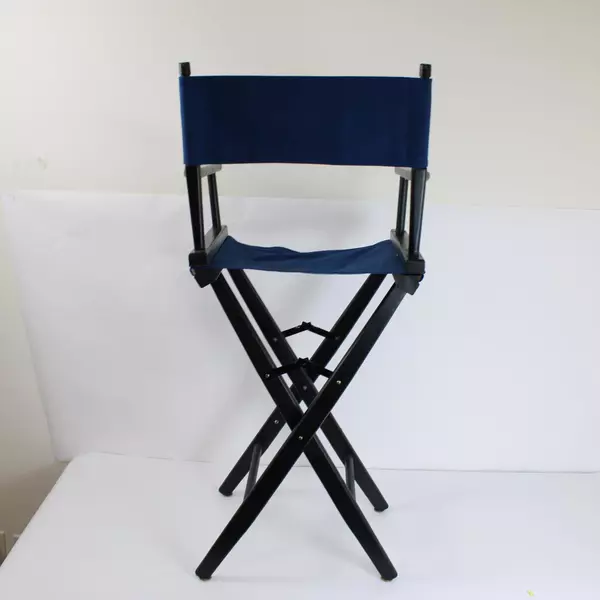 Pier 1 Imports Folding Blue Director Chair Canvas