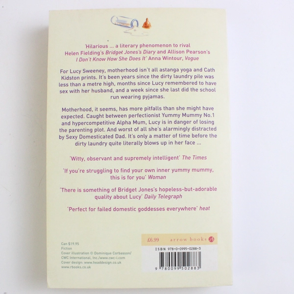 The Secret Life of a Slummy Mummy by Fiona Neill 2008 Novel Paperback