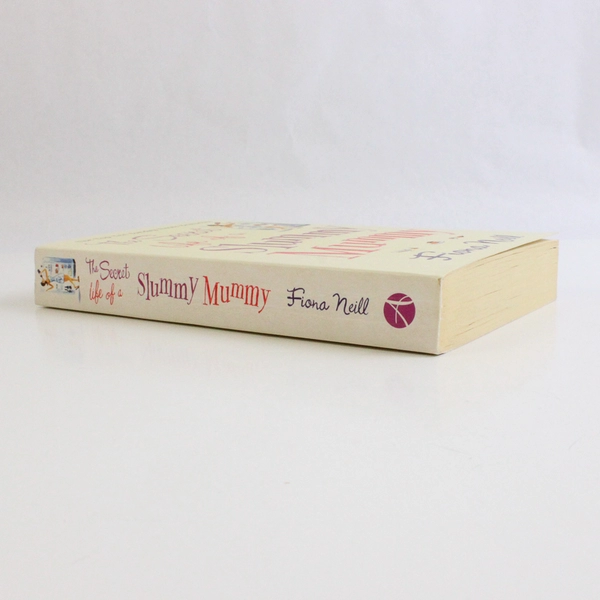 The Secret Life of a Slummy Mummy by Fiona Neill 2008 Novel Paperback