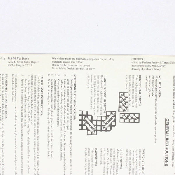 Needlecraft Plastic Canvas Cut Aways #HOTP-311 by Joan Green Booklet