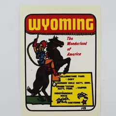 VTG Wyoming Travel Decal Water Transfer Sticker Cowgirl Wonderland Of America