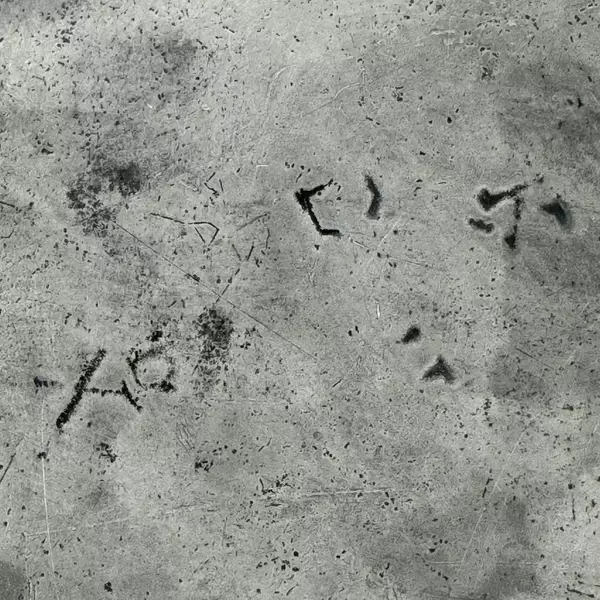 Antique Large Pewter 9.5 Inch Plate Worn Marks c. 1800s