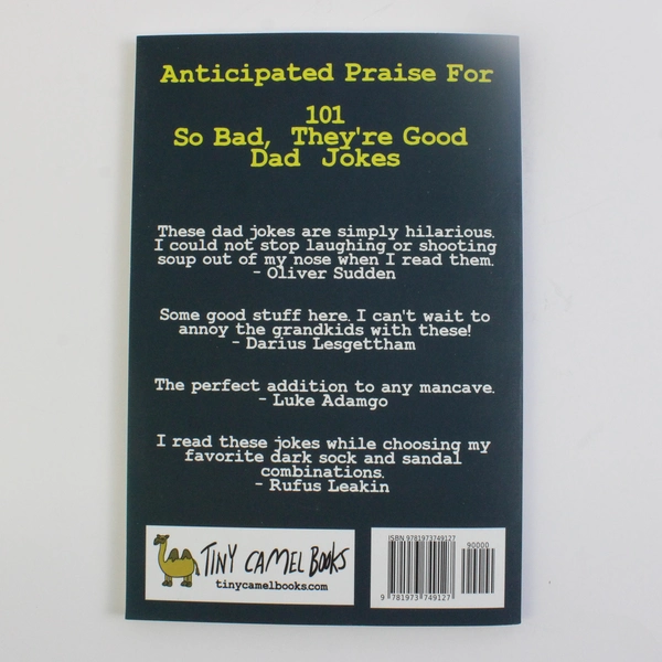 101 So Bad They're Good Dad Jokes by Elias Hill 2017 Paperback