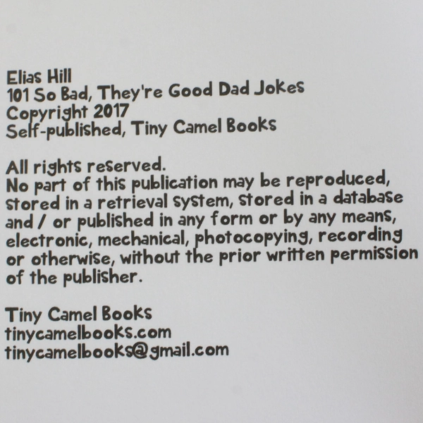 101 So Bad They're Good Dad Jokes by Elias Hill 2017 Paperback