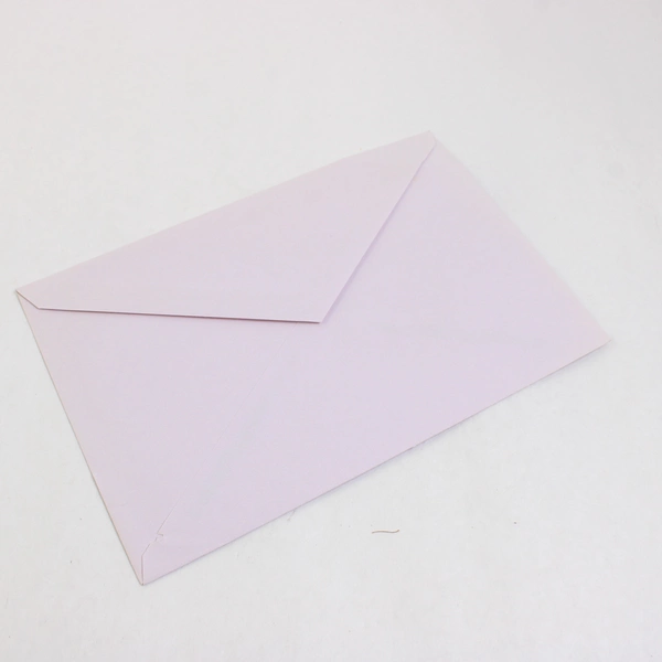 Vintage Boynton Tri-Fold Birthday Greeting Card Desert Coyote Illustration