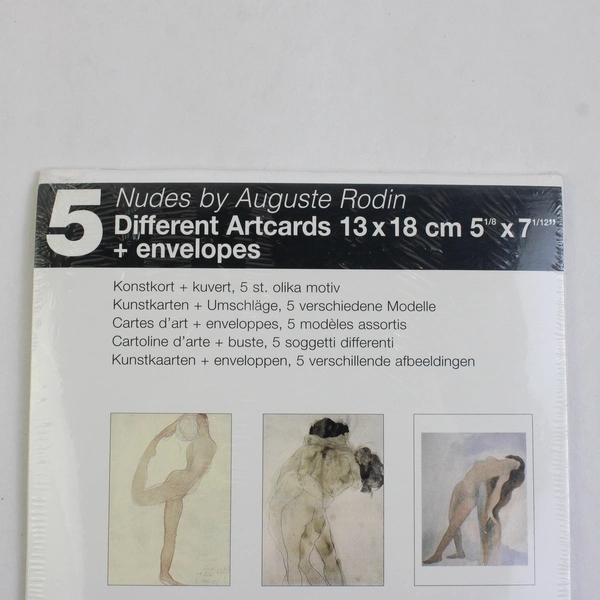 Set of 5 New IKEA Art Cards with Envelopes Nudes by Auguste Rodin