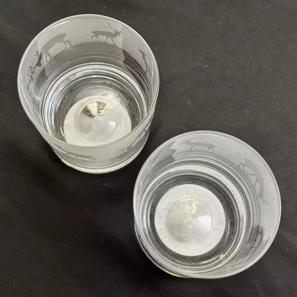Set Of 2 The Milford Collection Animo Glass Etched Stag Rocks Glasses