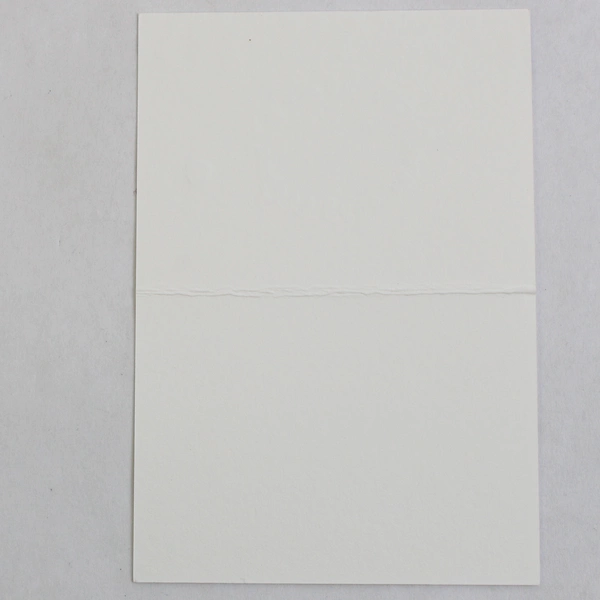 Set of 8 Smock Cute Lion Illustration Mini Note Cards with Envelopes