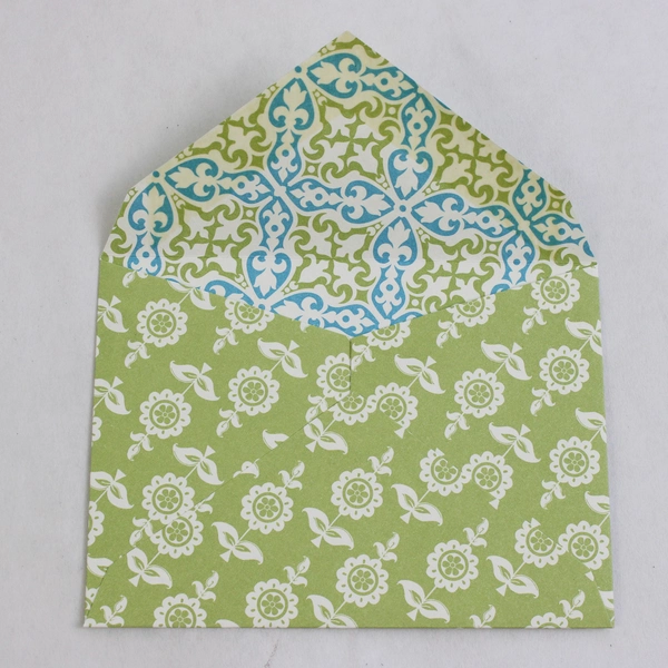 Set of 8 Smock Cute Lion Illustration Mini Note Cards with Envelopes