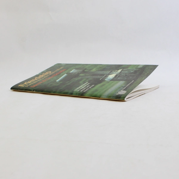 Friendship: Portraits In God's Family Album By Steve & Dee Brestin (1986, PB)