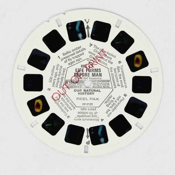 Vintage Sawyer's View Master Life Forms Before Man Reel 1967