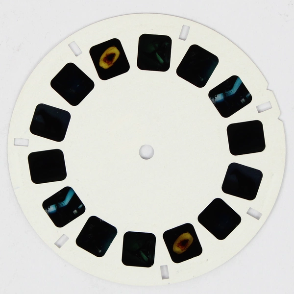 Vintage Sawyer's View Master Life Forms Before Man Reel 1967