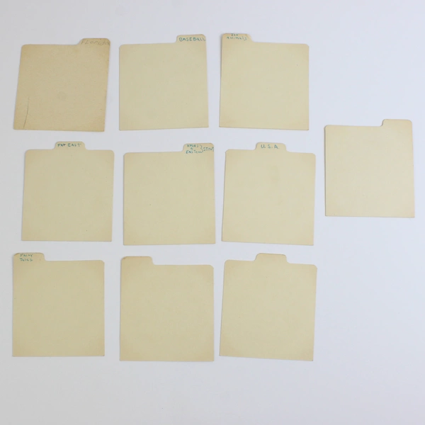 Lot of 20 View-Master Index Cards For Library Box