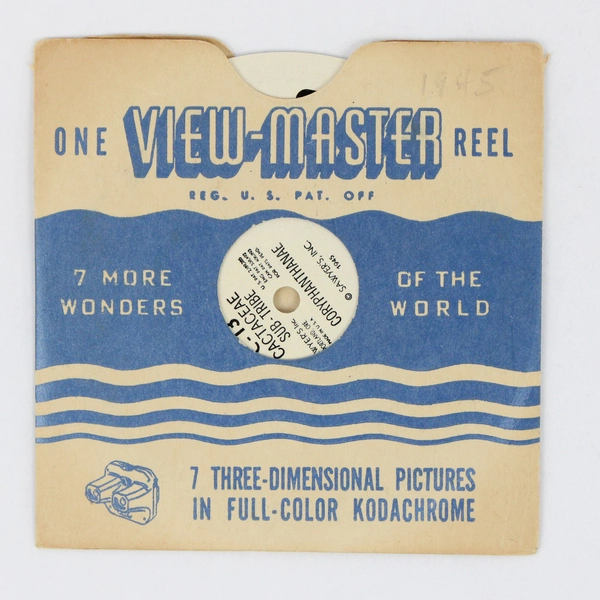 View-Master C-13 Cactaceae Sub Tribe Coryphanthanae Single Reel 1945 Cacti